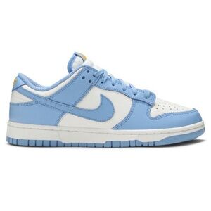 Nike dunks-blue